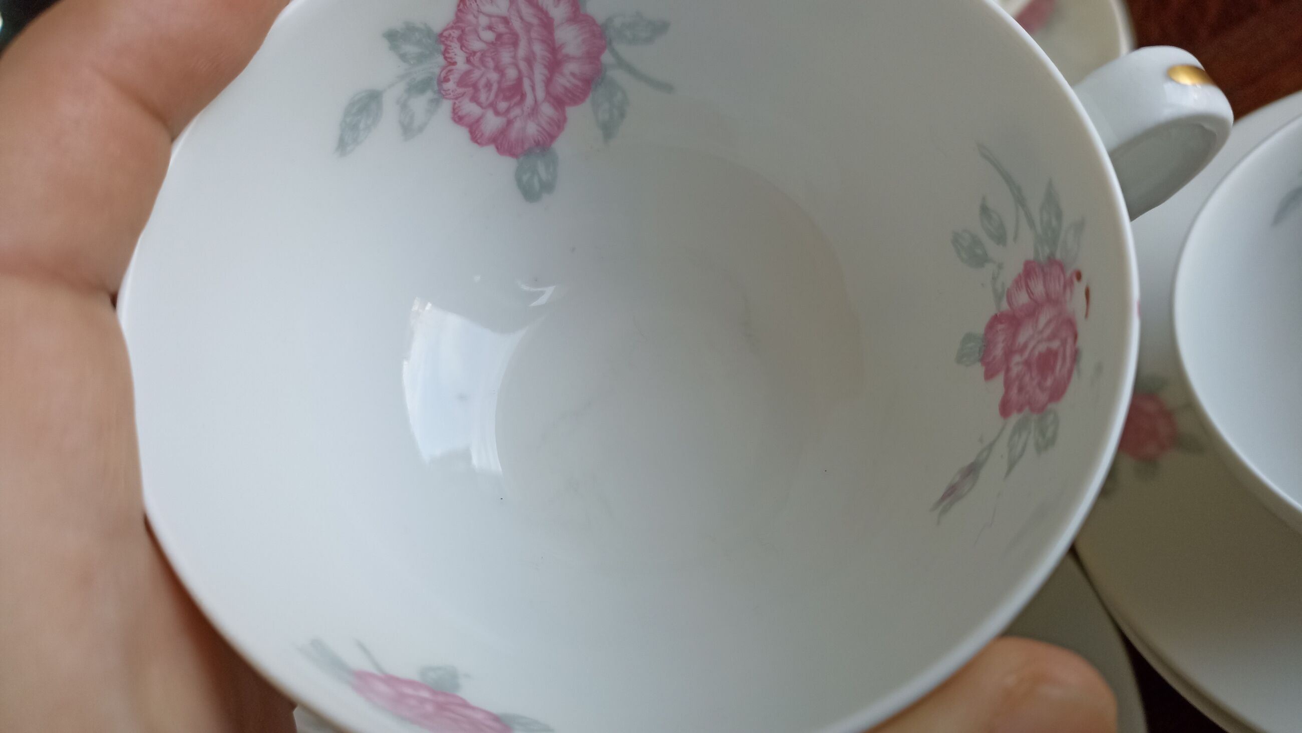 Limoges porcelain tea or coffee set by Théodore Haviland from the 20s