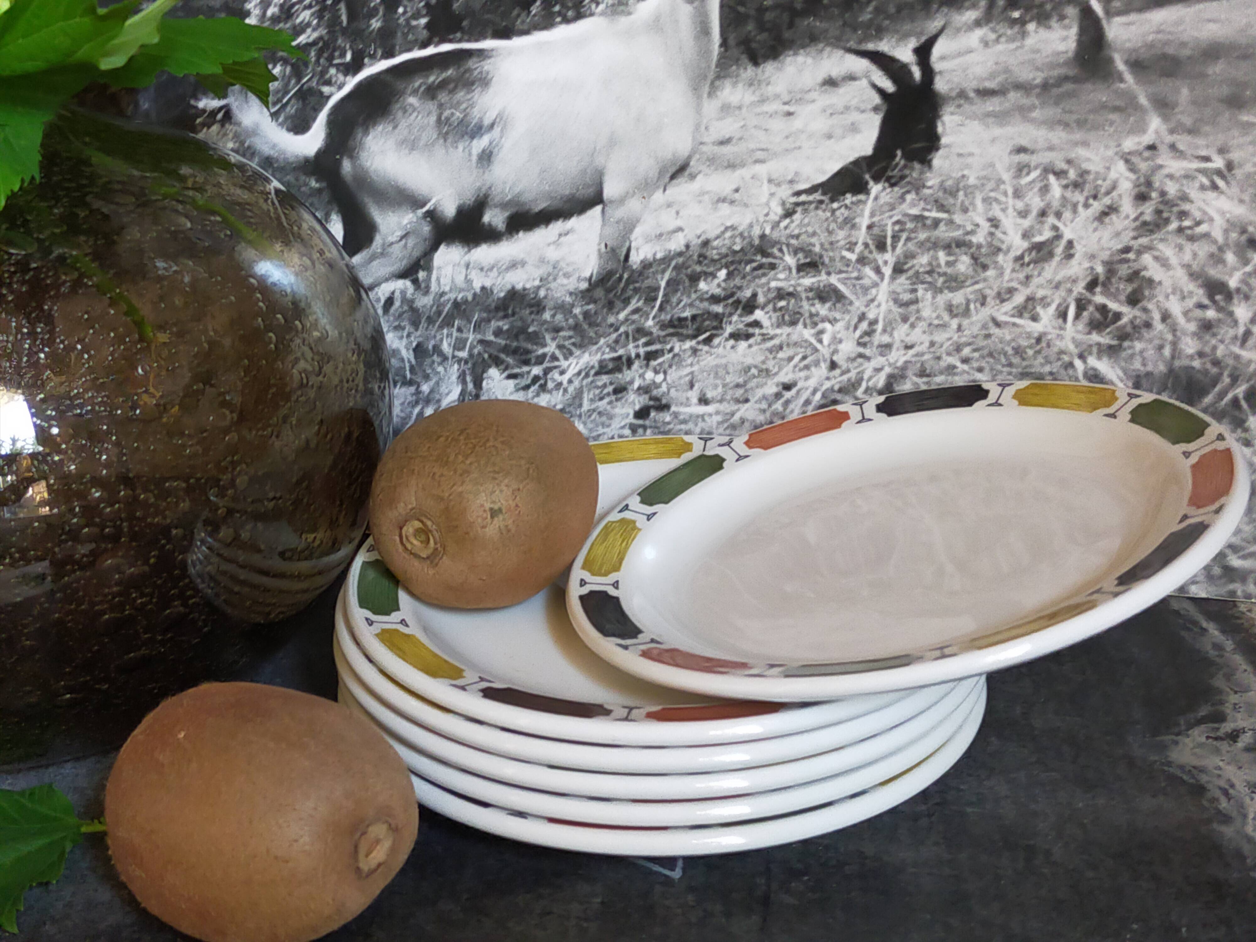 Six assiettes à dessert en porcelaine Anglaise DUDSON BROTHERS 70'