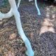 Old garden bench with cast iron feet and wooden planks