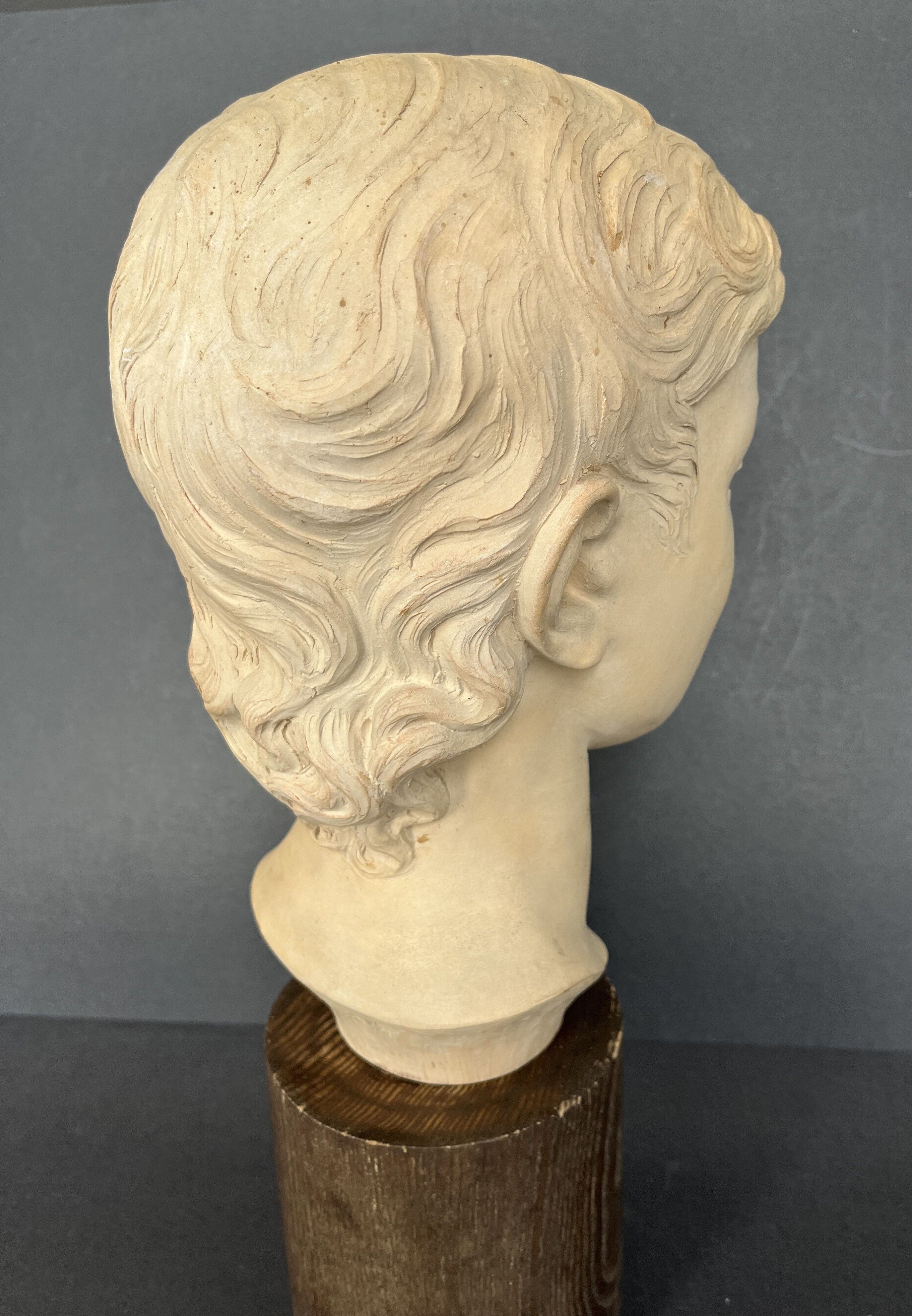 Young woman's head