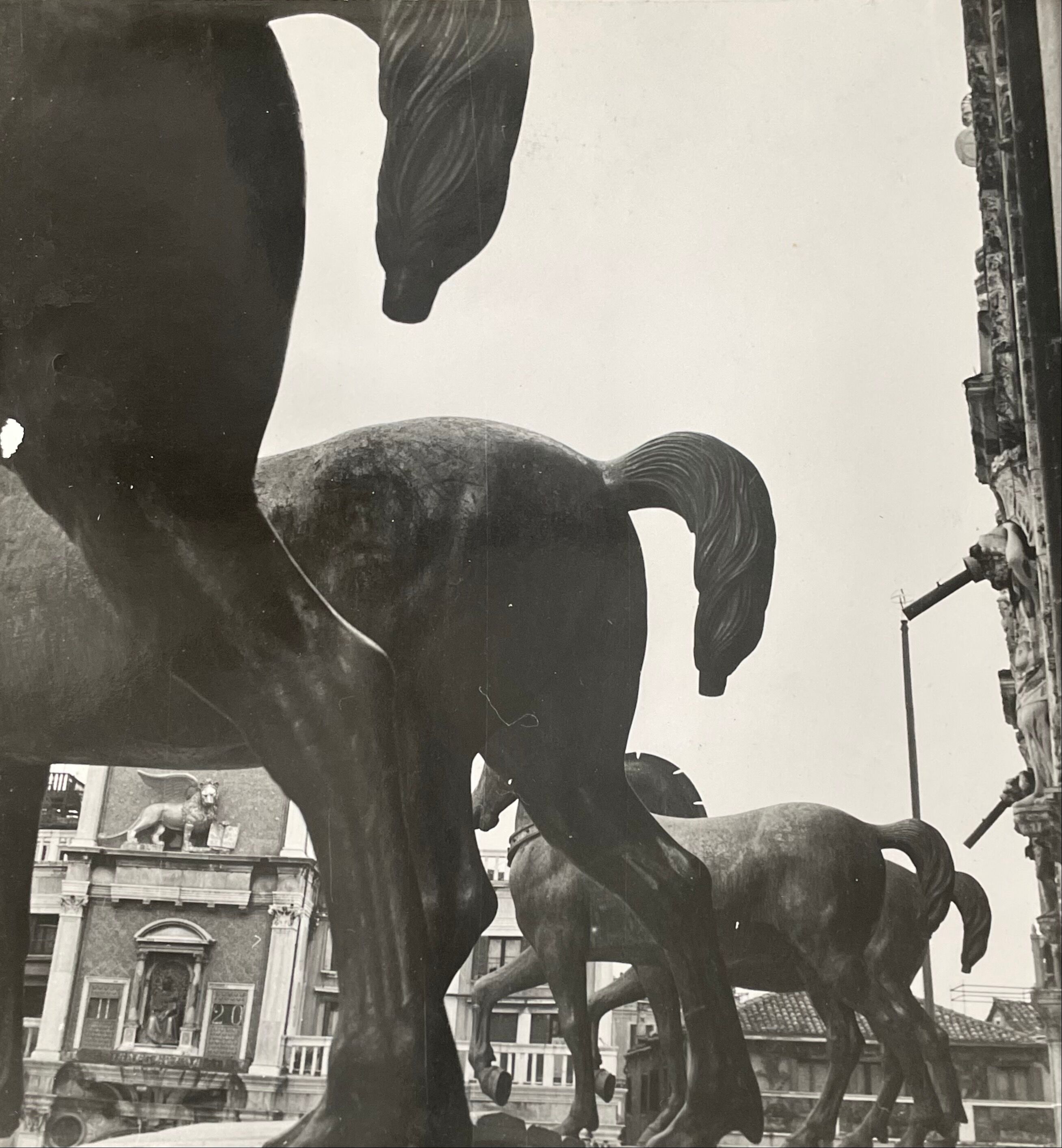 Old black and white silver photography early twentieth century