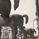 Photographie ancienne noir et blanc argentique début XXe