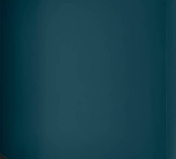 Parisian Art Deco hotel armoire