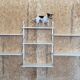 White Wall shelves system by Poul Cadovius Royal System for