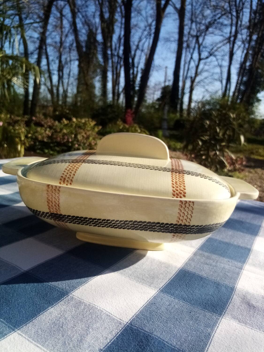 Salins earthenware vegetable tureen