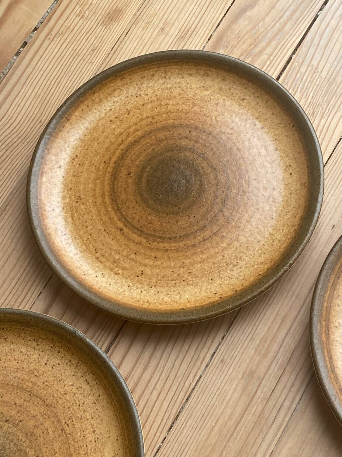 6 assiettes Longchamp motif spirale