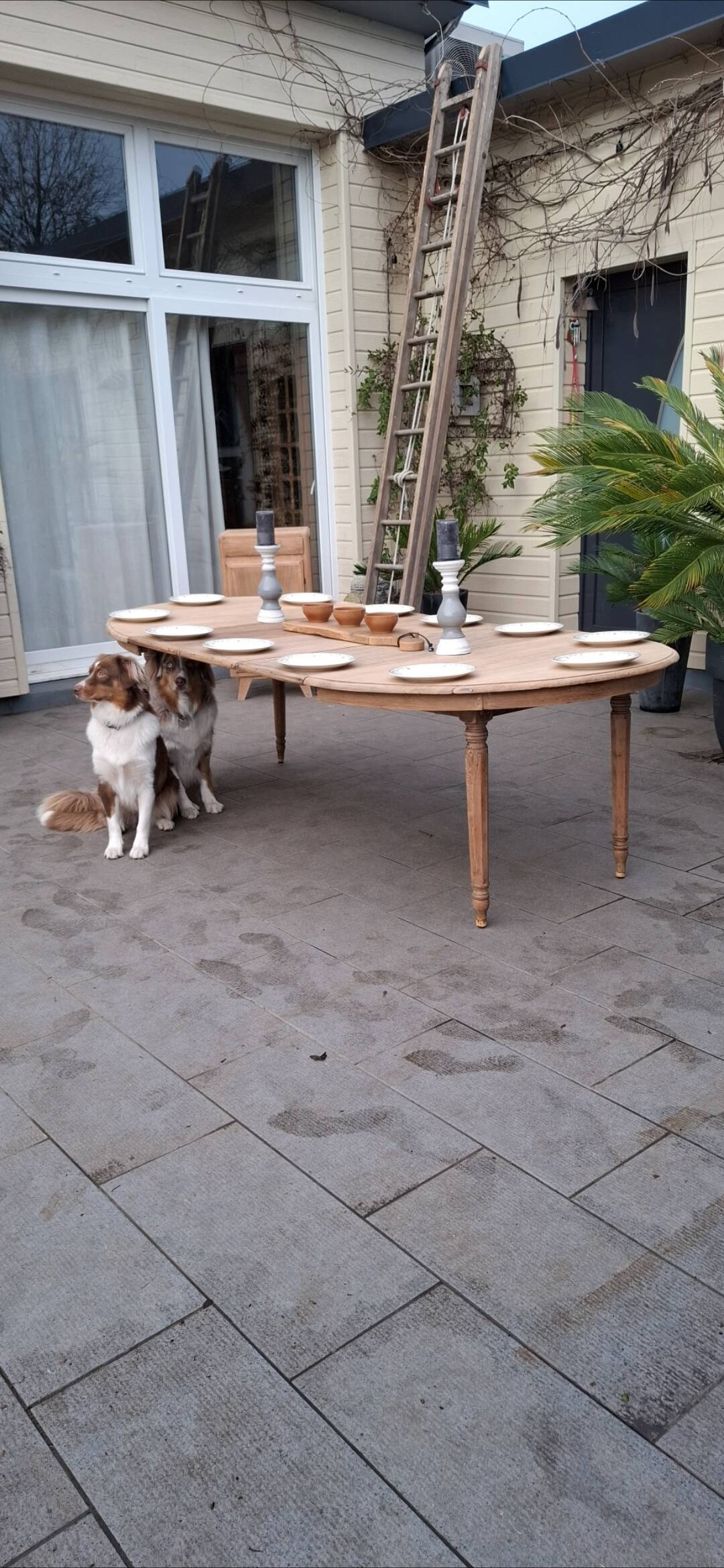 Oval table +3 extensions