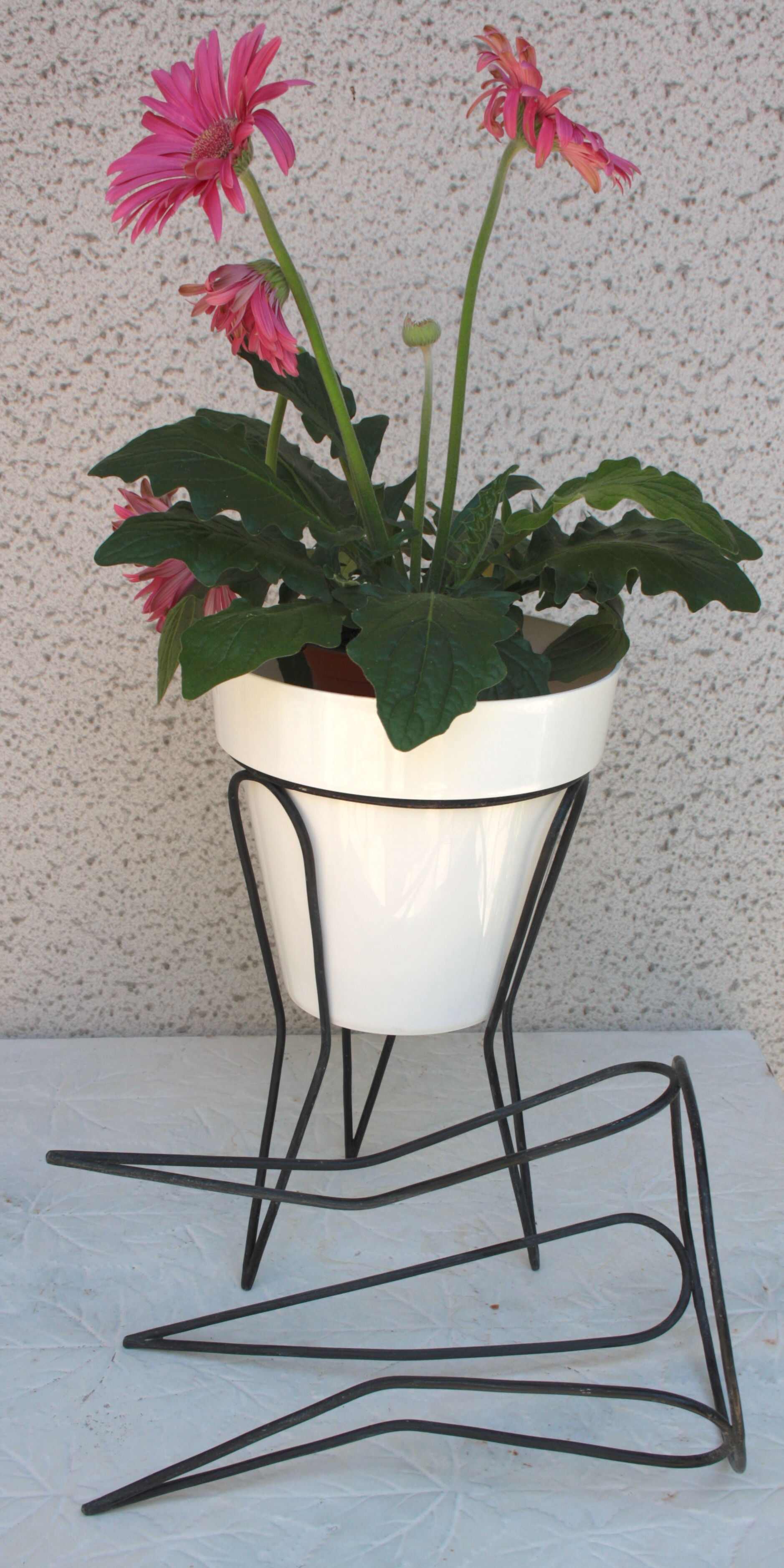 Support for plants duo 50s, 60s