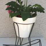 Support for plants duo 50s, 60s