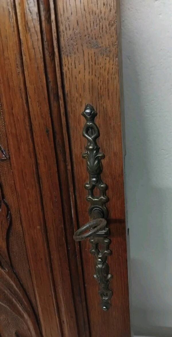 Paire d'anciens panneaux de porte en bois chêne sculpté