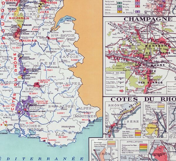 Carte de la France vinicole en 1949