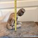 Sculpture Statue Terre Cuite Poterie Nu Féminin abstrait Femme Art Africain
