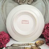 Antique mounted plate in ironstone earthenware.