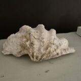 Trinket bowl shell