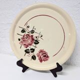 Dish by simone badonviller