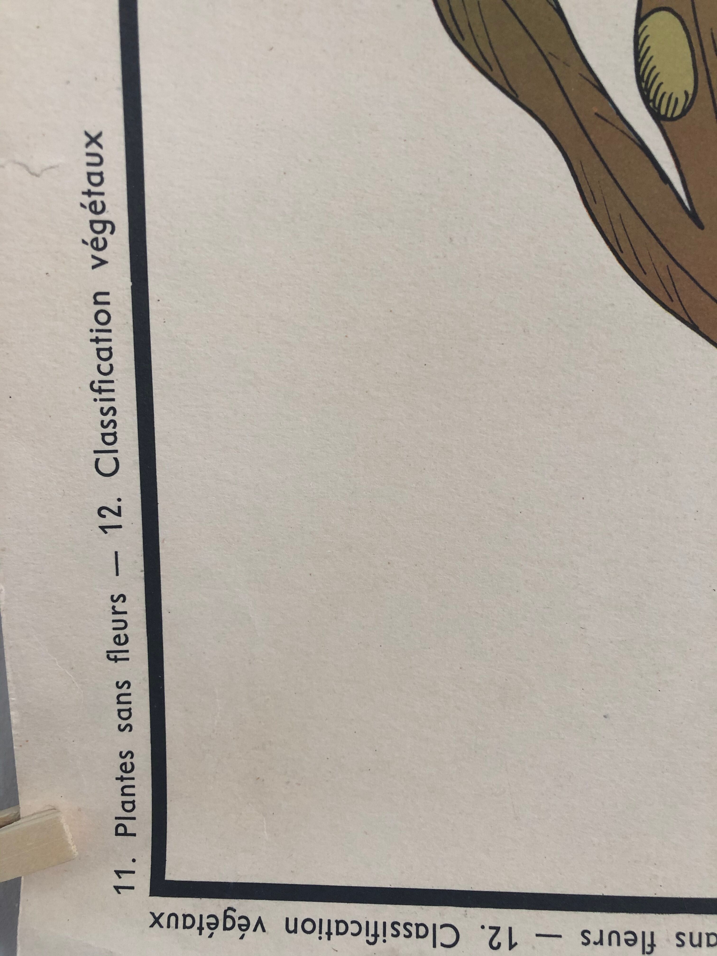 Former School Poster Rossignol Number 11