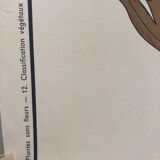 Former School Poster Rossignol Number 11