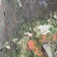 Art brut painting view of a garden 70s vintage
