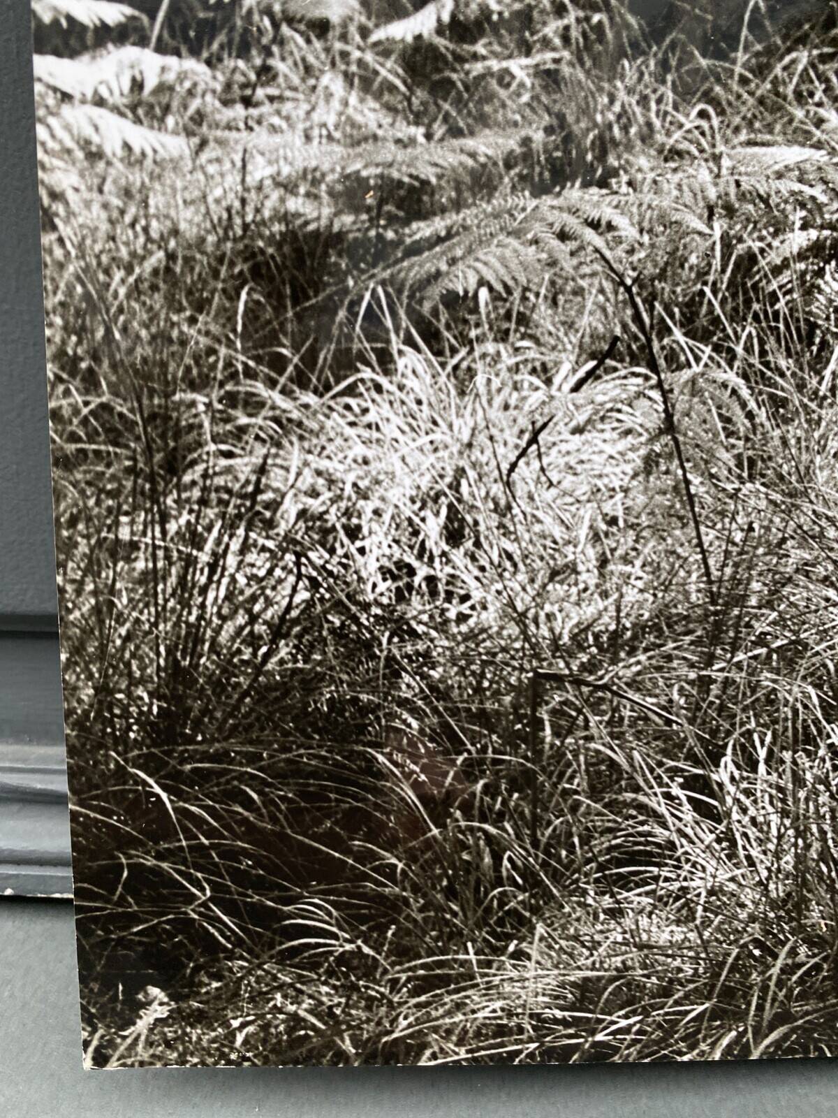 Silver gelatin photograph by Bernard Darot, Fougères, 20th century