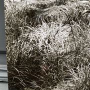 Silver gelatin photograph by Bernard Darot, Fougères, 20th century
