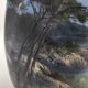 Vase de Jerome Massier, 1900