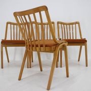 1970s Set of Four Antonin Suman Dining Chairs by Ton, Czechoslovakia