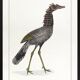 Lithograph engraving chimera animal - the cariapocampus