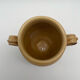 Varnished yellow terracotta confit pot