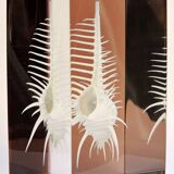 INCLUSION Vintage RESIN SHELL MUREX curiosity cabinet