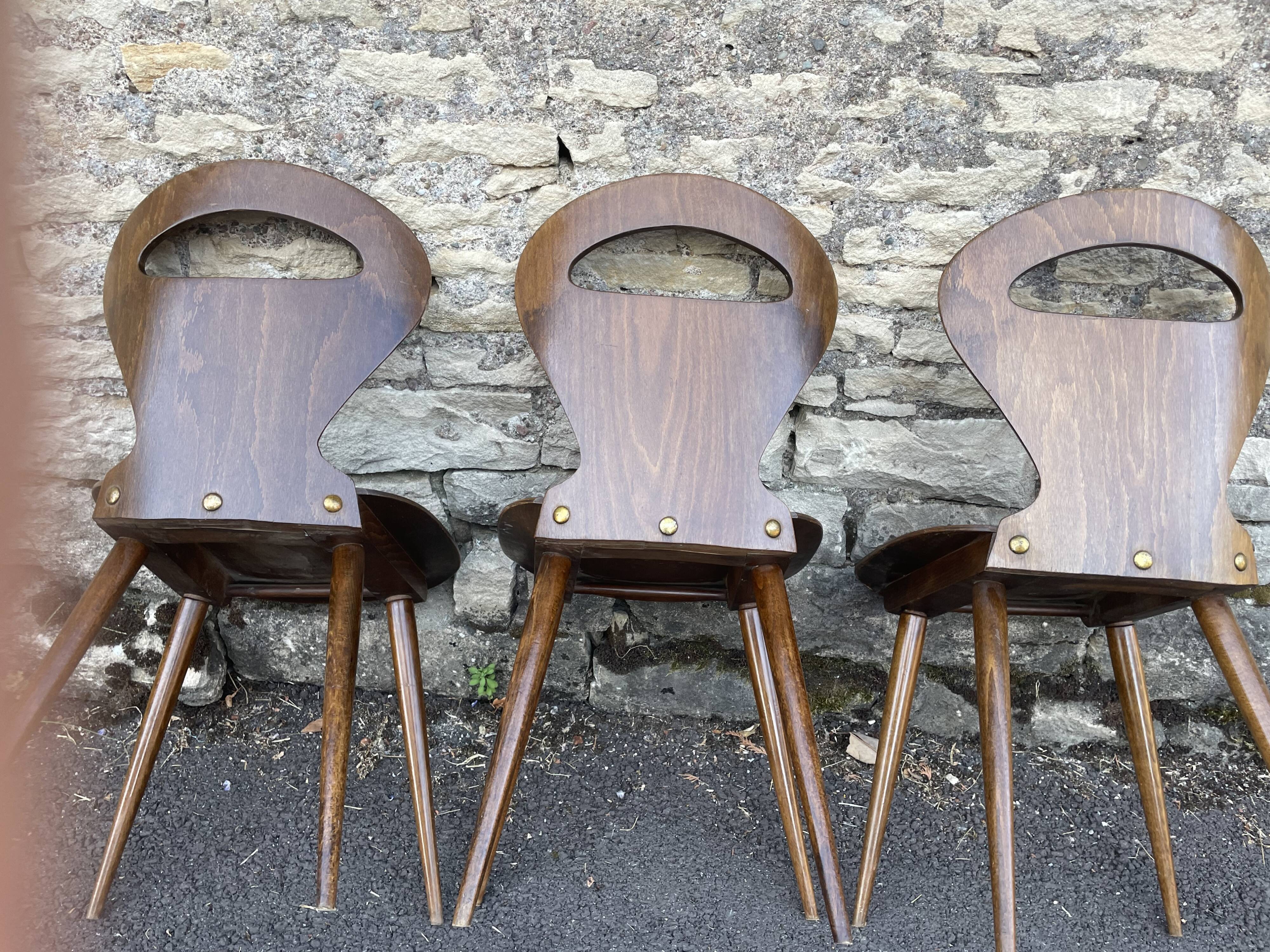 Baumann chairs "ant"