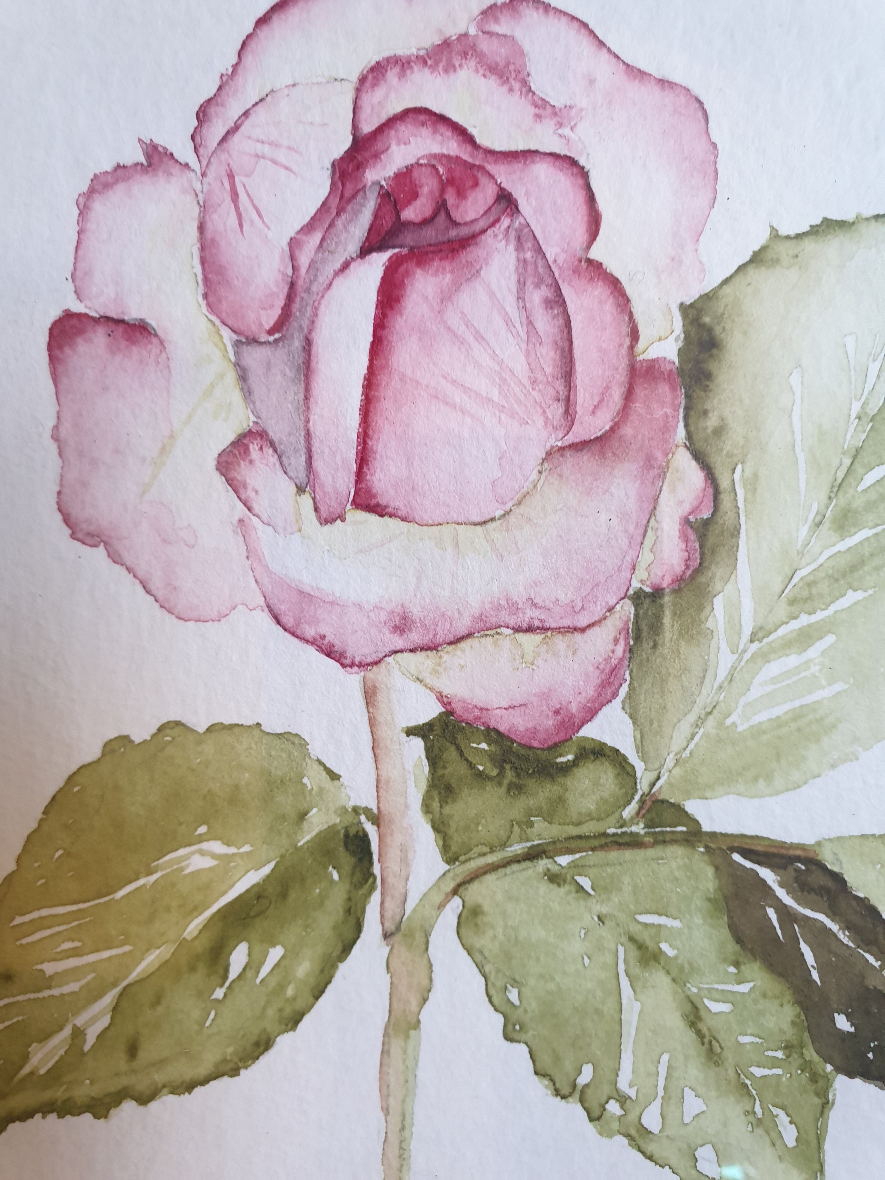Fleur en aquarelle