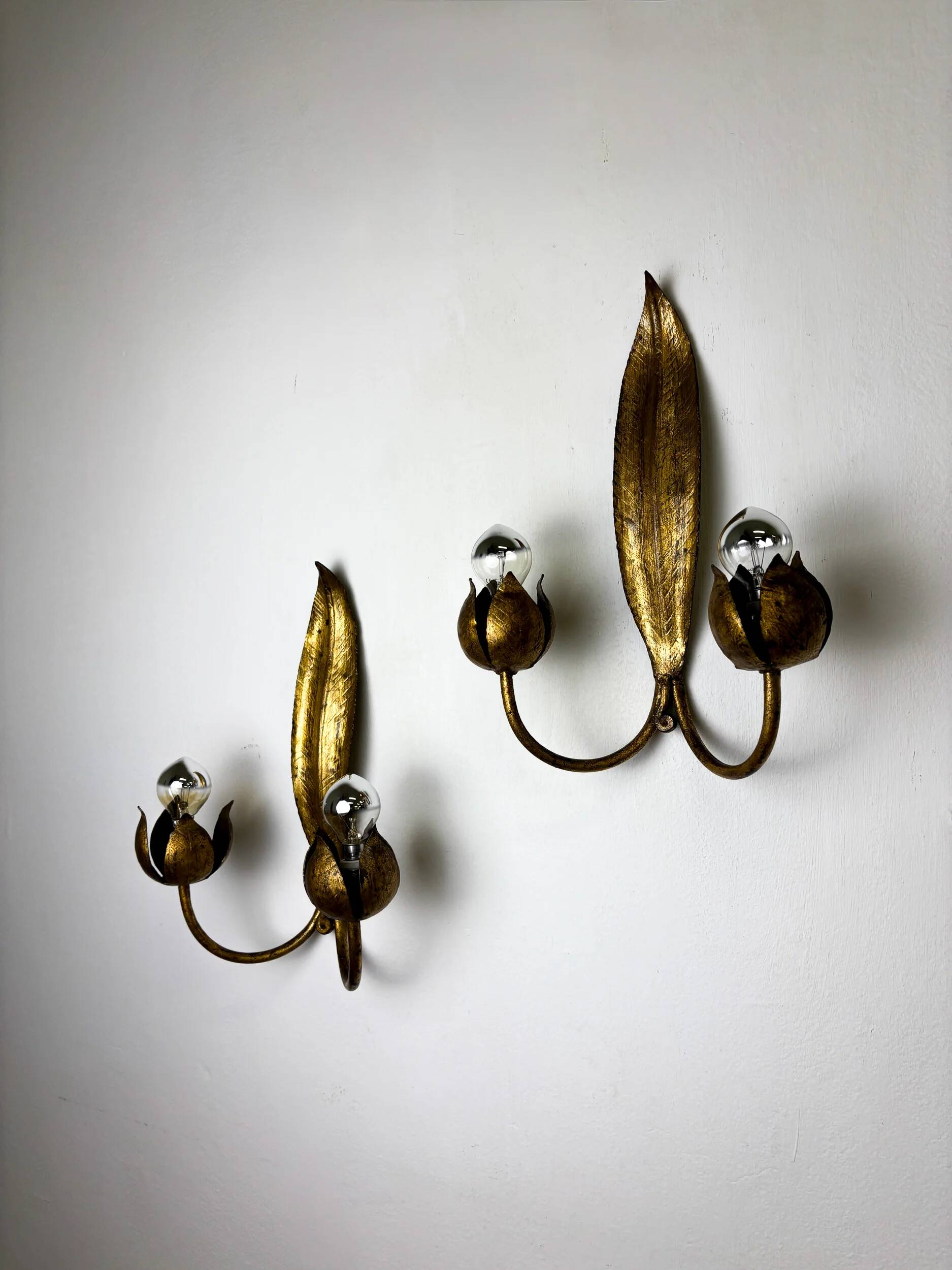 Pair of Spanish foliage wall sconces, leaf arms & bud shades, gilt iron, 1960s