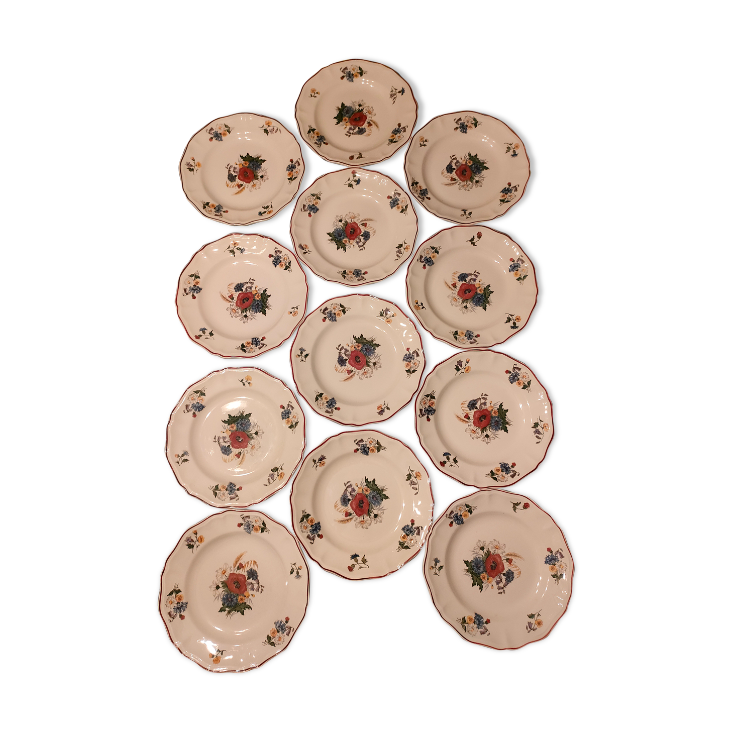 Flat plates sarguemines agreste