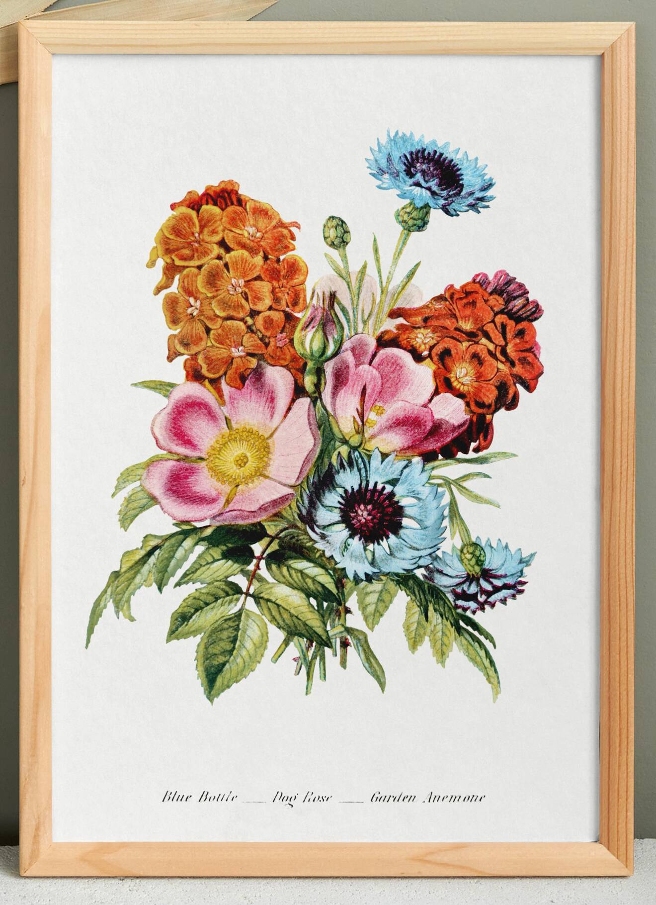 Poster featuring “Wild rose, cornflower and garden anemone”