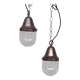Pair of brass and clear glass industrial pendants