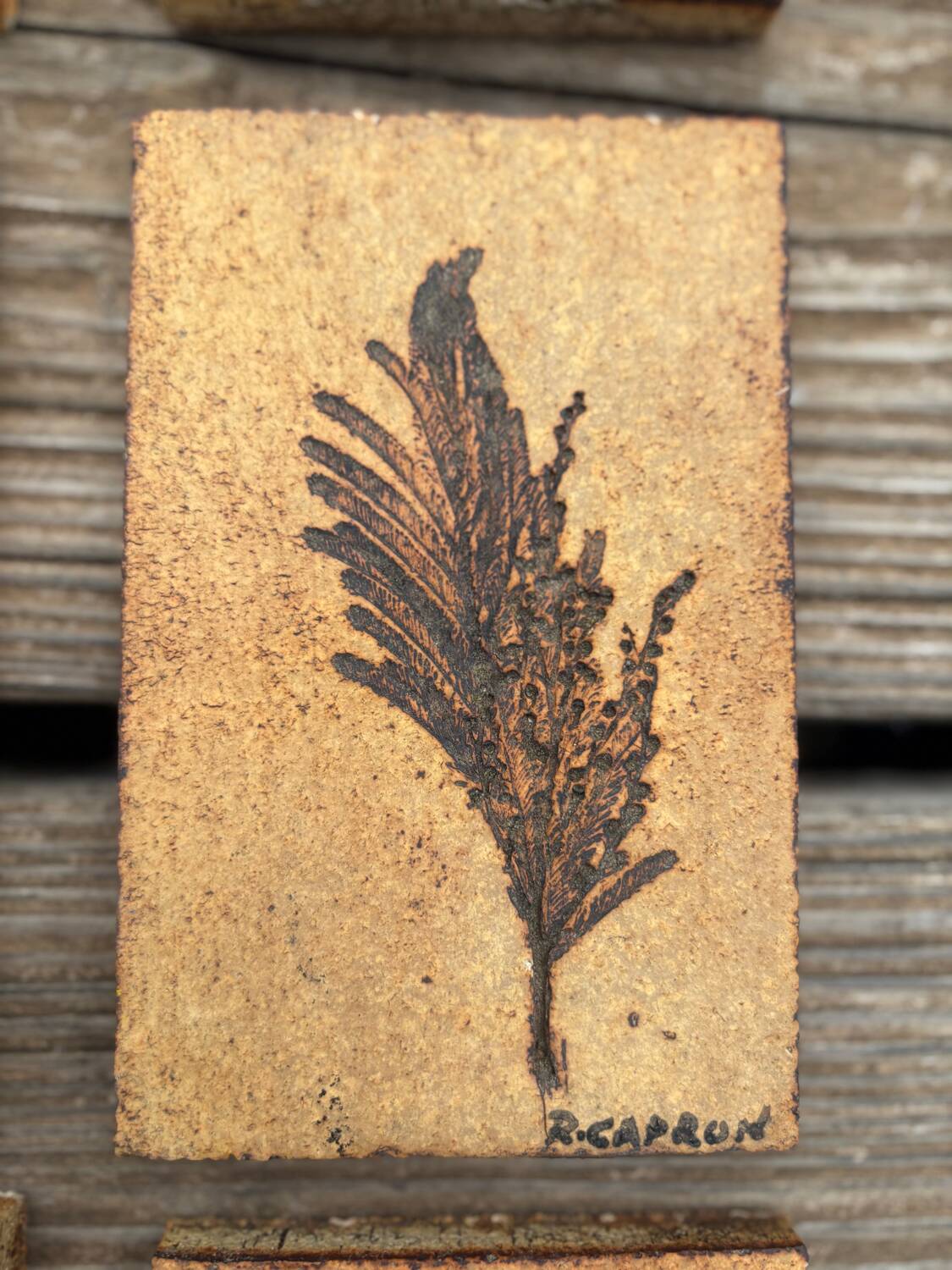 Set of 52 Vallauris herbarium tiles signed Capron