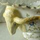 Moustiers earthenware planter with ram's head