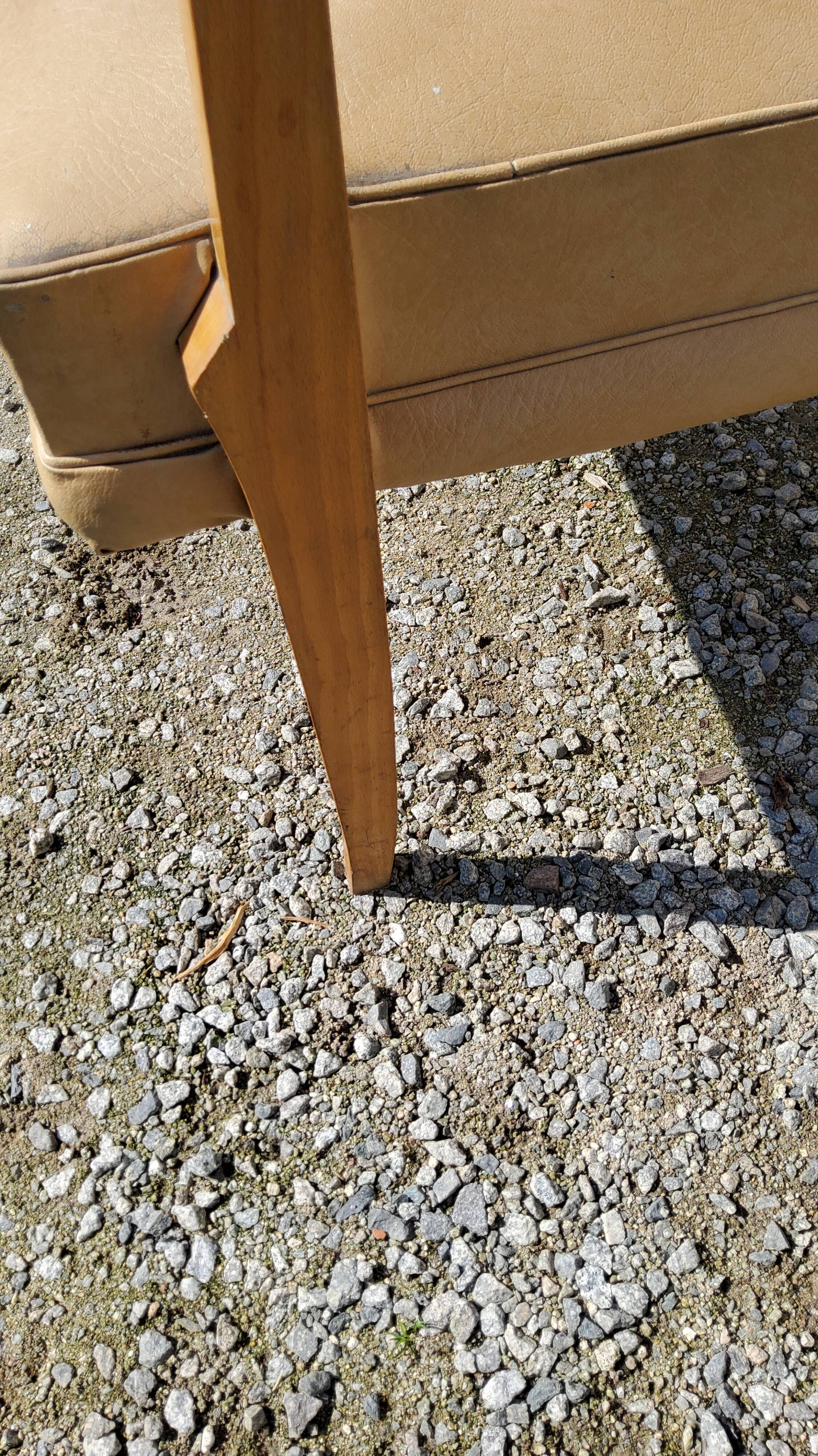 Office armchair from the 50s in beech tinted sycamore and moleskine