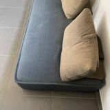 Roche Bobois sofa