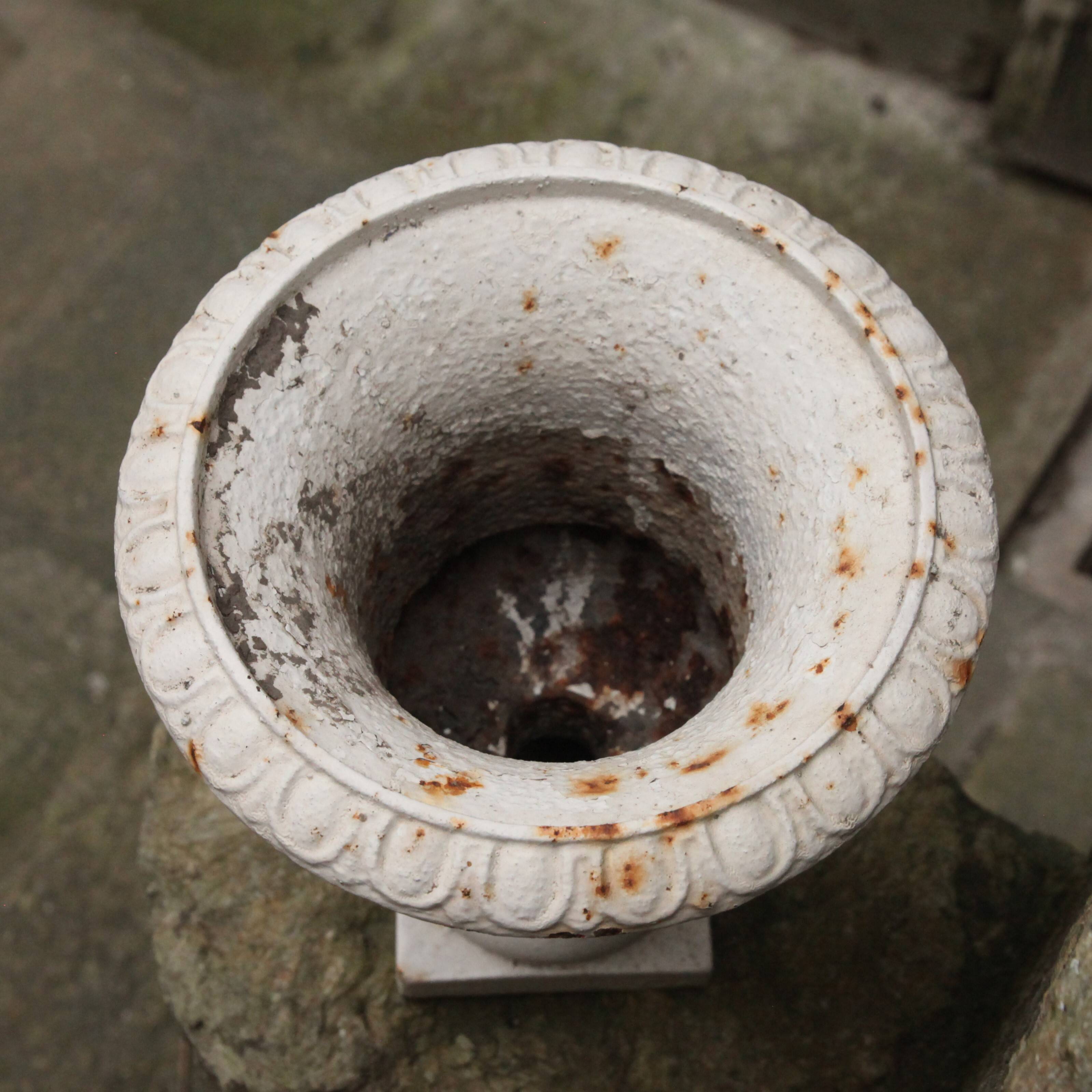 Cast iron Medici vase