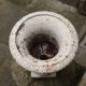 Cast iron Medici vase