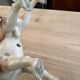 Serie de chiens faience de desvres