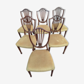 Rare, Victorian chairs nineteenth century. Vintage English hepplewhite chairs