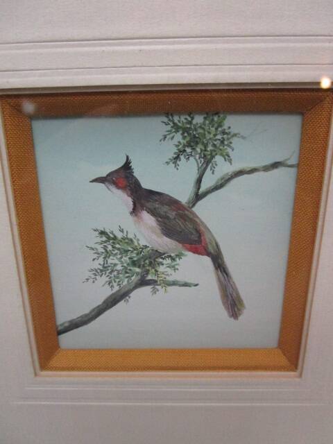 Frame 2 watercolors birds "S du Paty de Clam"