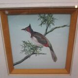 Frame 2 watercolors birds "S du Paty de Clam"