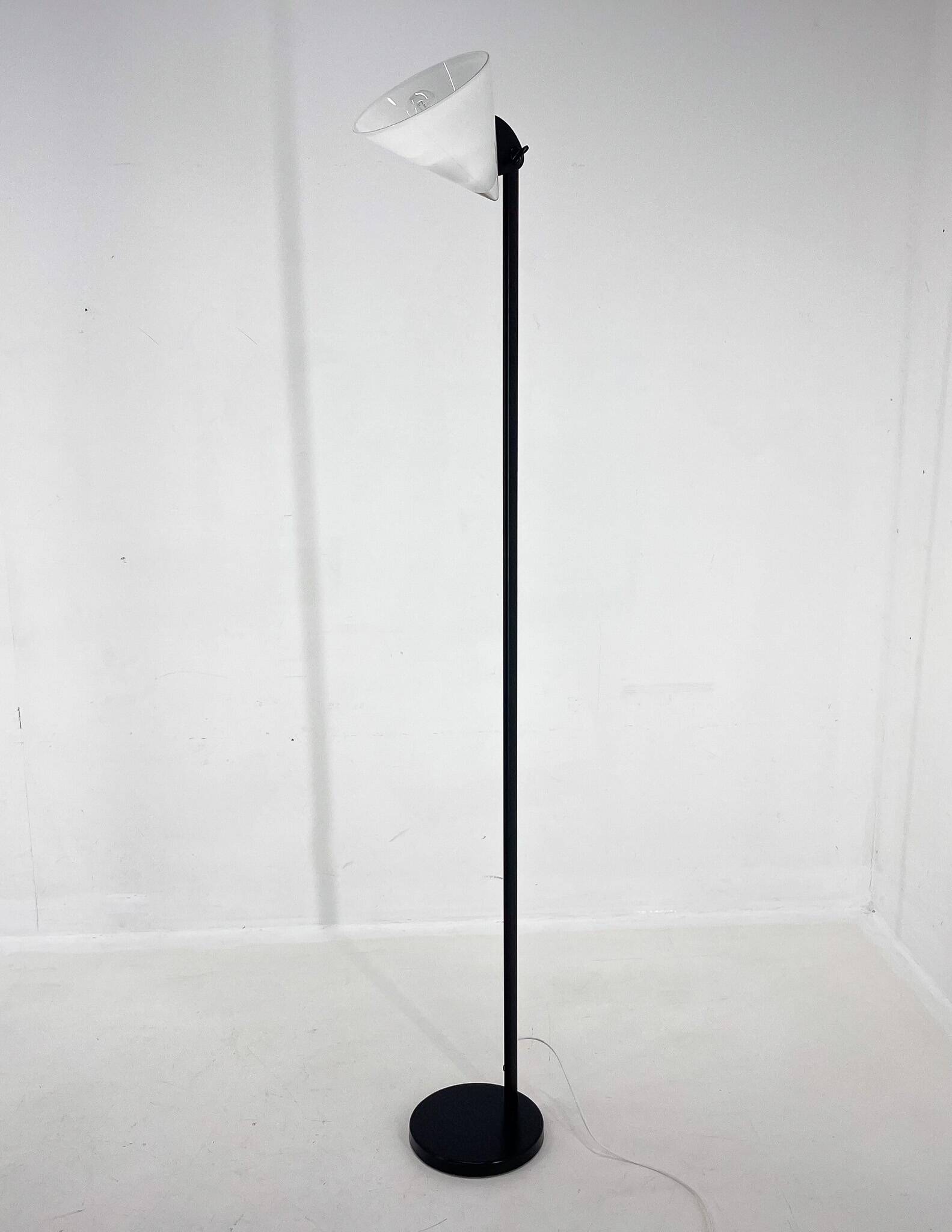 1970s Murano Glass & Metal Floor Lamp, Italy