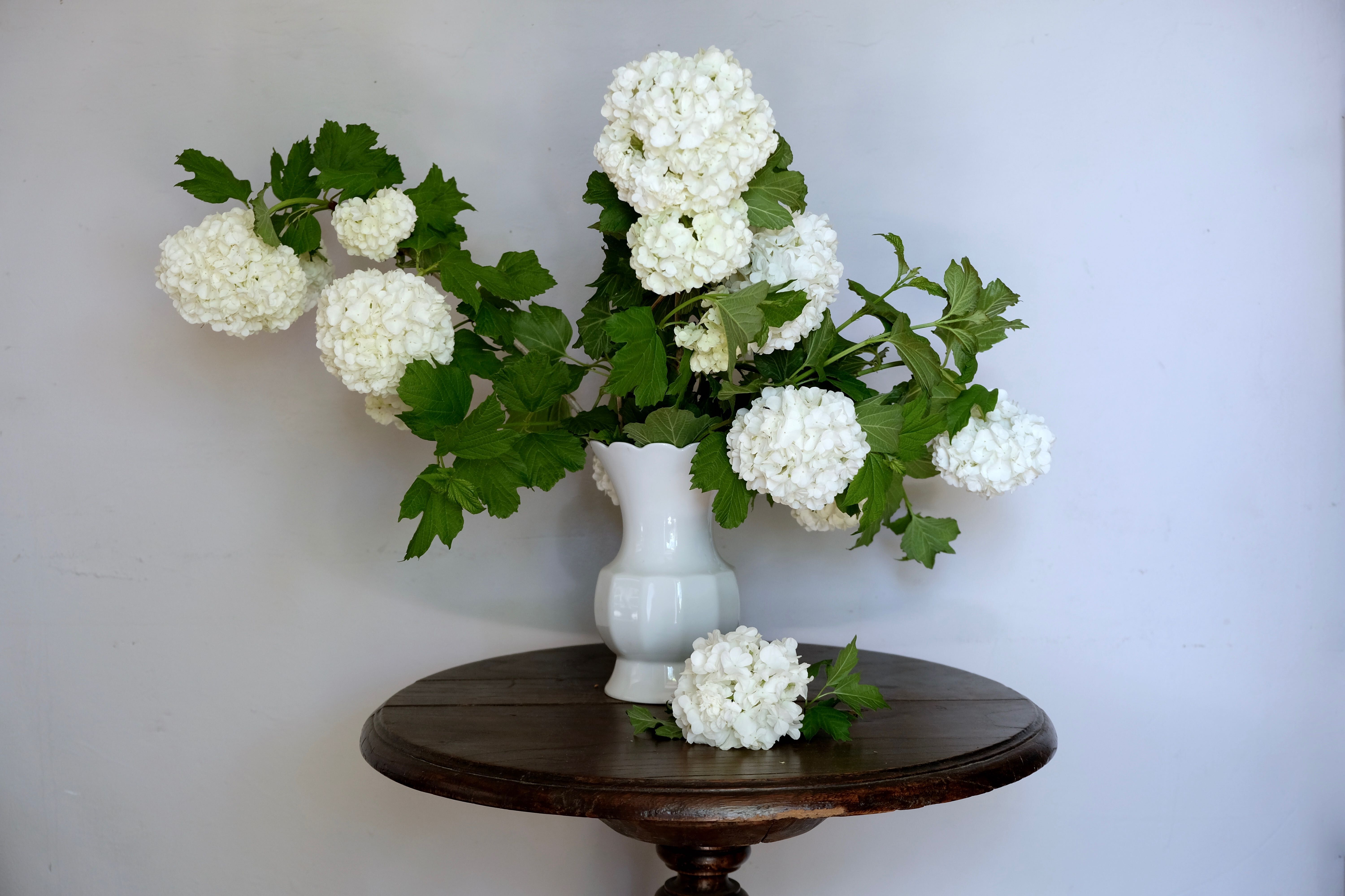 White vase Bareuther Waldsassen 50s