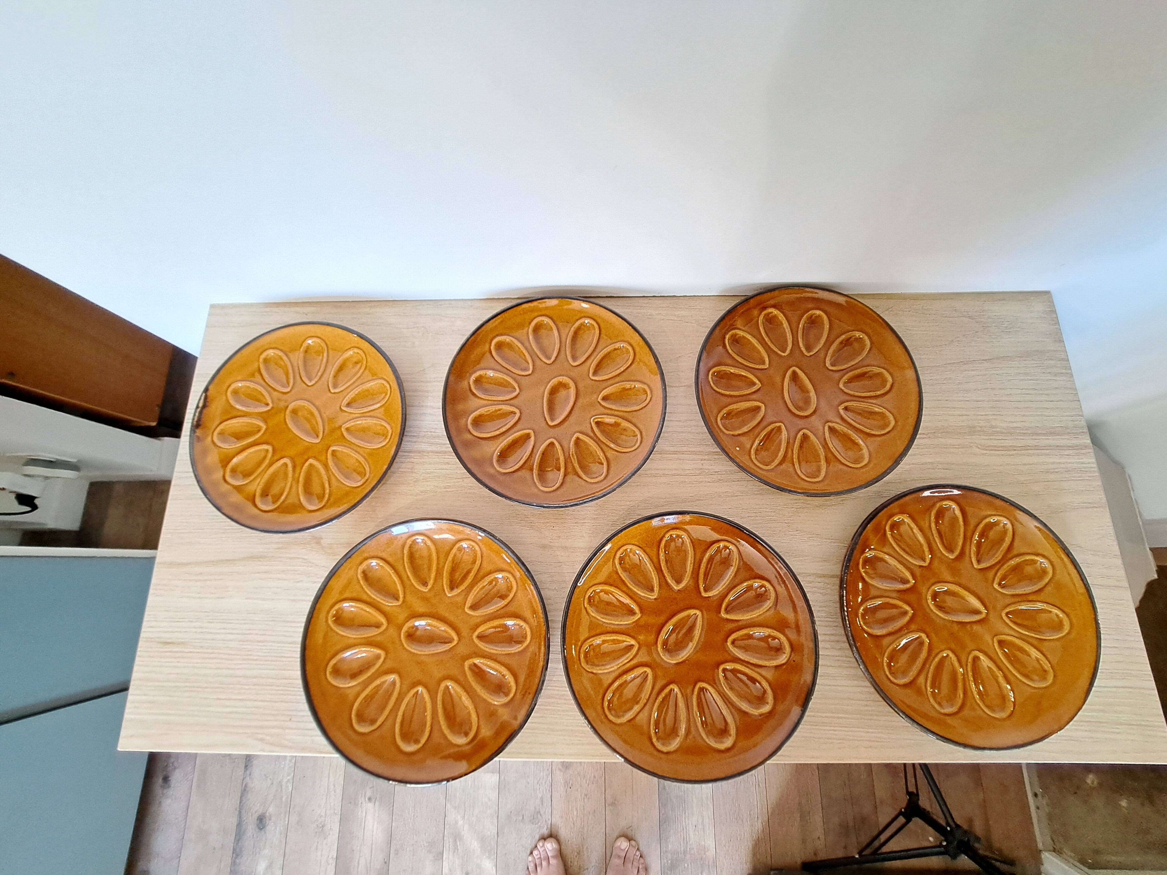 6 shell plates