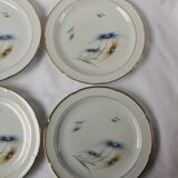6 Limoge plates service porcelain cover