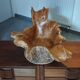 Sculptural wooden centrepiece, organic bowl, brutalist.